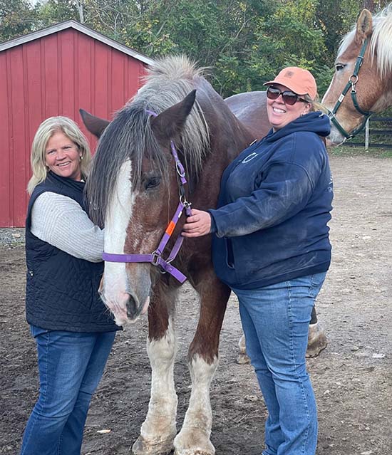 Connecticut Draft Horse Rescue Rep. Haines toured Connecticut Draft Horse Rescue in East Hampton Connecticut Draft Horse Rescue Rep. Haines toured Connecticut Draft Horse Rescue in East Hampton